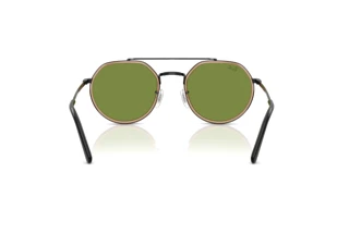 Achteraanzicht Ray-Ban RB3765 (92794E)