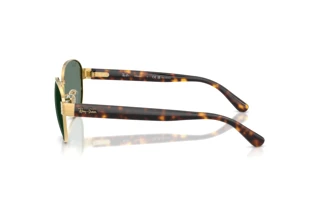 Zijaanzicht Ray-Ban RB3766CH (001/O9)