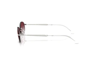 Zijaanzicht Ray-Ban RB3767 (003/8H)