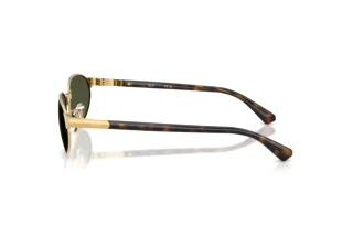 Zijaanzicht Ray-Ban RB3777 (001/31)
