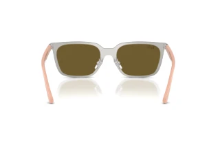Achteraanzicht Ray-Ban RB3784D (003/73)