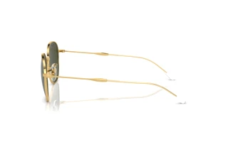 Zijaanzicht Ray-Ban RB3809 (001/31)