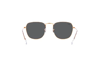 Achteraanzicht Ray-Ban FRANK (RB3857 - 9202B1)