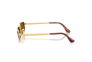Zijaanzicht Ray-Ban RB3927 (001/33)