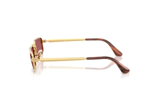 Zijaanzicht Ray-Ban RB3927 (001/AF)