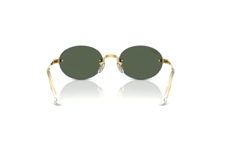 Achteraanzicht Ray-Ban RB3929 (001/71)