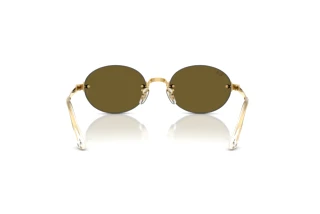 Achteraanzicht Ray-Ban RB3929 (001/73)