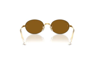 Achteraanzicht Ray-Ban RB3929 (001/83)