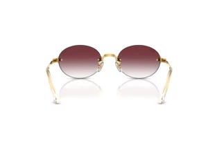 Achteraanzicht Ray-Ban RB3929 (001/8H)
