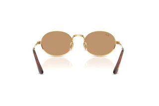Achteraanzicht Ray-Ban RB3931 (001/53)