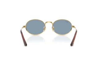 Achteraanzicht Ray-Ban RB3931 (001/56)