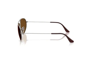 Zijaanzicht Ray-Ban RB3945 (004/57)