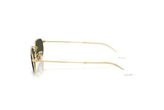 Zijaanzicht Ray-Ban RB3947 (001/31)