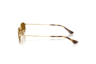 Zijaanzicht Ray-Ban RB3947 (001/33)