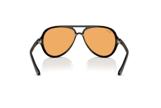 Achteraanzicht Ray-Ban CATS 5000 (RB4125 - 601/33)