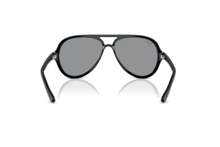 Achteraanzicht Ray-Ban CATS 5000 (RB4125 - 601/R5)