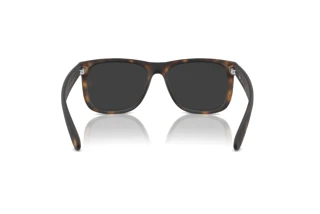 Achteraanzicht Ray-Ban JUSTIN (RB4165 - 865/87)