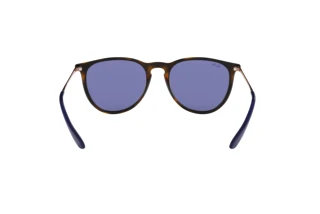 Achteraanzicht Ray-Ban ERIKA (RB4171 - 639276)