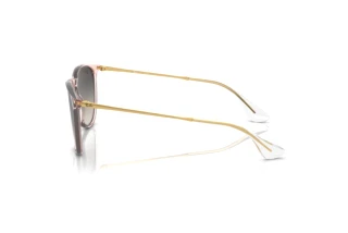 Zijaanzicht Ray-Ban ERIKA (RB4171 - 674211)