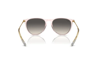 Achteraanzicht Ray-Ban ERIKA (RB4171 - 674211)