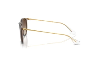 Zijaanzicht Ray-Ban ERIKA (RB4171 - 674413)