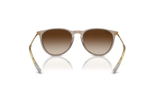 Achteraanzicht Ray-Ban ERIKA (RB4171 - 674413)