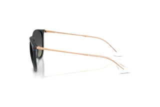 Zijaanzicht Ray-Ban ERIKA (RB4171 - 681311)