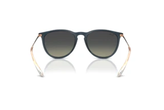 Achteraanzicht Ray-Ban ERIKA (RB4171 - 681311)