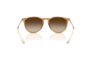Achteraanzicht Ray-Ban ERIKA (RB4171 - 681413)