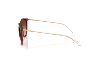 Zijaanzicht Ray-Ban ERIKA (RB4171 - 6815A5)