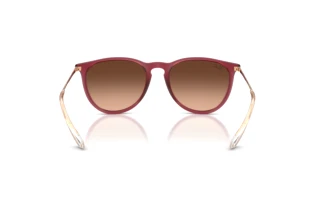 Achteraanzicht Ray-Ban ERIKA (RB4171 - 6815A5)