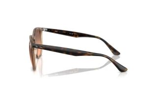 Zijaanzicht Ray-Ban RB4306 (678846)