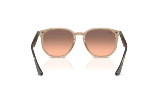 Achteraanzicht Ray-Ban RB4306 (678846)
