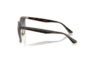 Zijaanzicht Ray-Ban RB4306 (6788V1)