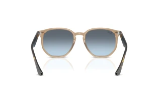 Achteraanzicht Ray-Ban RB4306 (6788V1)