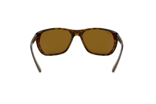 Achteraanzicht Ray-Ban RB4307 (710/83)