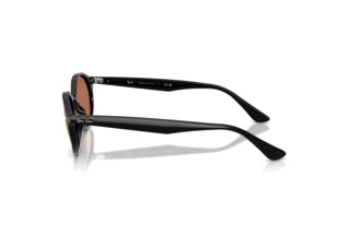 Zijaanzicht Ray-Ban RB4315 (601/40)
