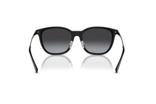 Achteraanzicht Ray-Ban RB4333D (601/8G)