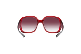 Achteraanzicht Ray-Ban POWDERHORN (RB4347 - 66628H)