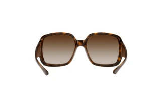 Achteraanzicht Ray-Ban POWDERHORN (RB4347 - 710/13)