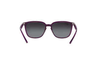 Achteraanzicht Ray-Ban RB4362 (65718G)