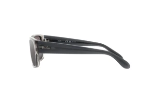 Zijaanzicht Ray-Ban RB4388 (6647G3)