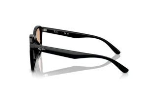 Zijaanzicht Ray-Ban RB4392D (601/93)
