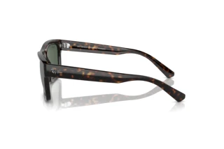 Zijaanzicht Ray-Ban WARREN (RB4396 - 135971)