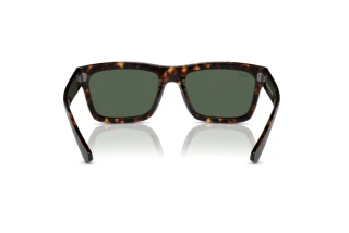 Achteraanzicht Ray-Ban WARREN (RB4396 - 135971)