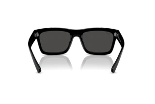 Achteraanzicht Ray-Ban WARREN (RB4396 - 667787)