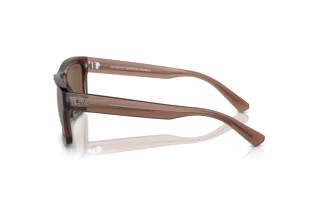 Zijaanzicht Ray-Ban WARREN (RB4396 - 667873)