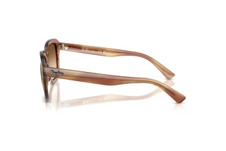 Zijaanzicht Ray-Ban ERIK (RB4398 - 140351)