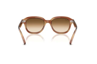 Achteraanzicht Ray-Ban ERIK (RB4398 - 140351)