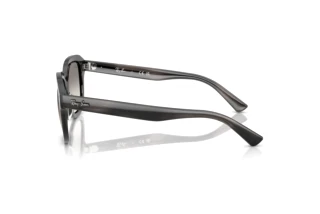 Zijaanzicht Ray-Ban ERIK (RB4398 - 140432)